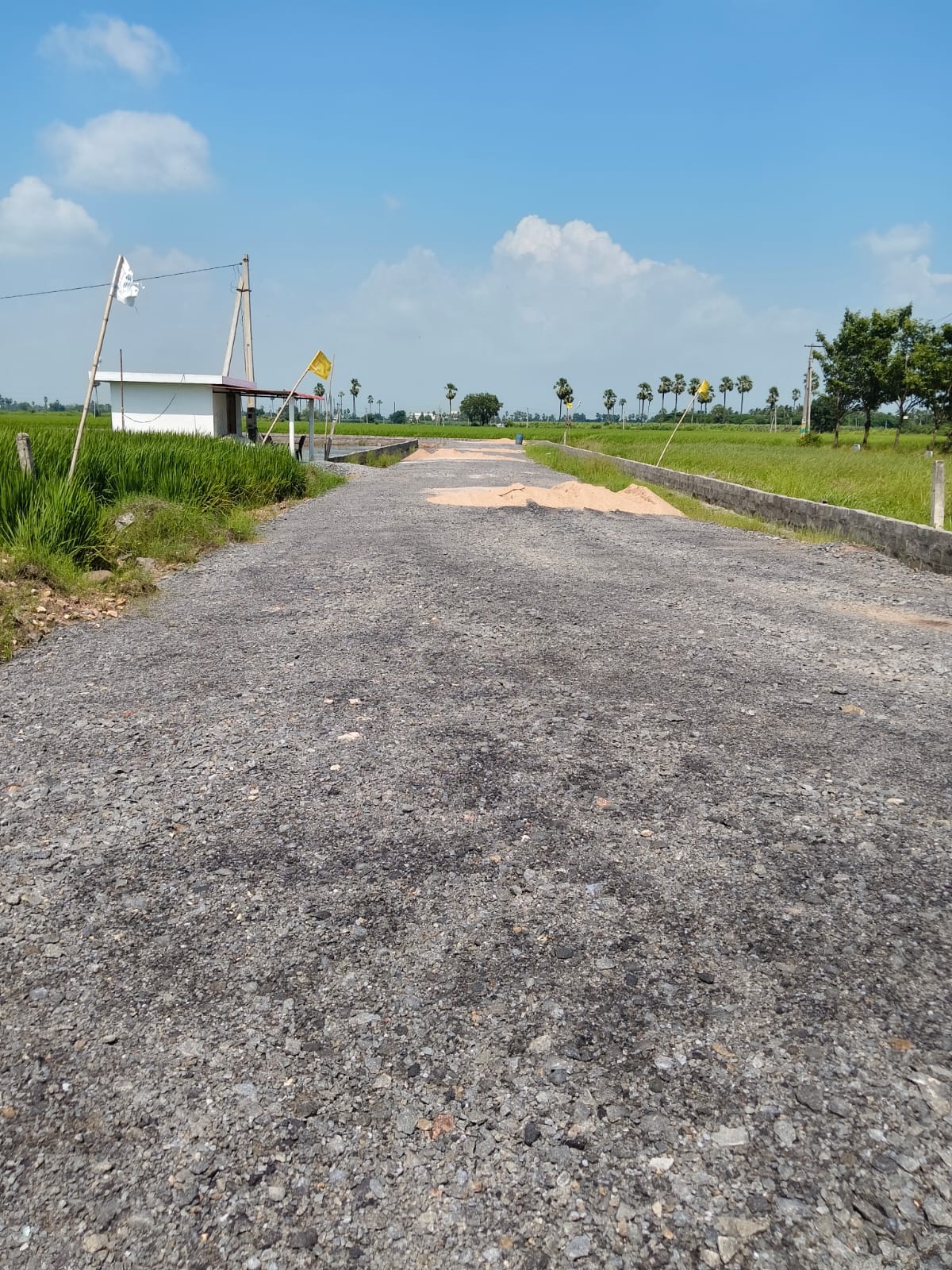 WhatsApp Image 2025-11-27 at 23.01.45_8d3fcfc6