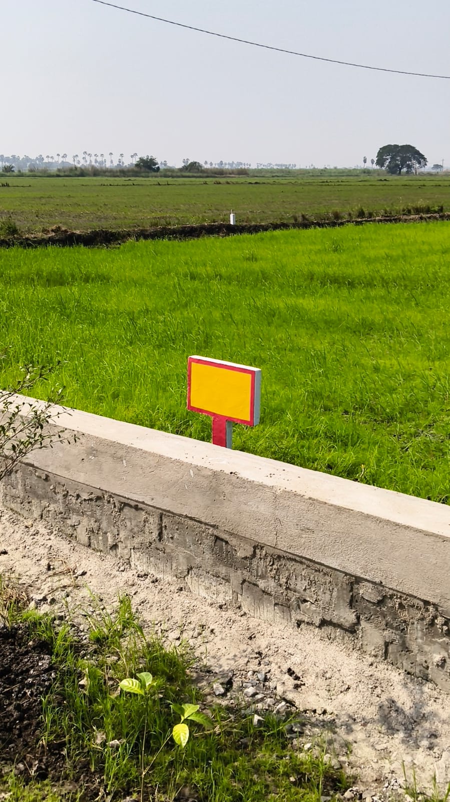 WhatsApp Image 2025-12-16 at 12.10.44 PM (1)