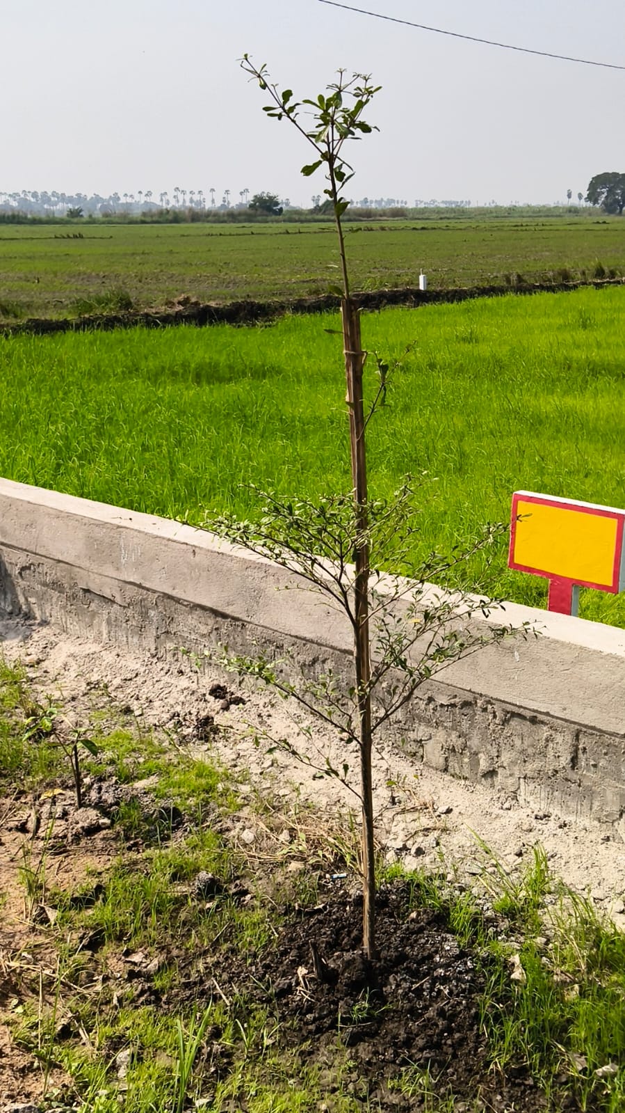 WhatsApp Image 2025-12-16 at 12.10.46 PM